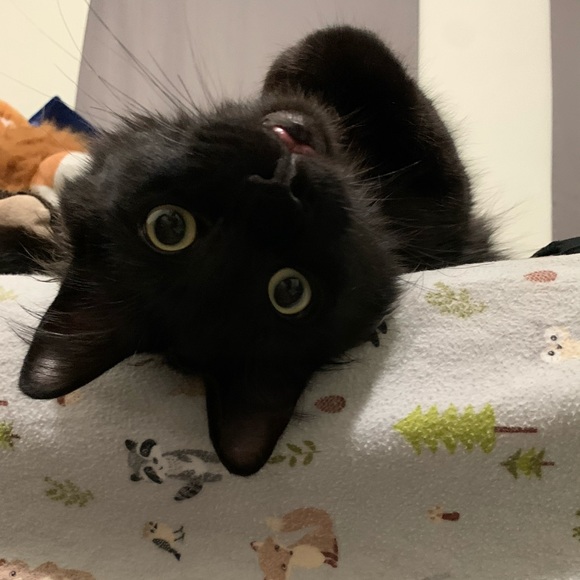 Meet your Posher, Marta - Picture 1 of 1